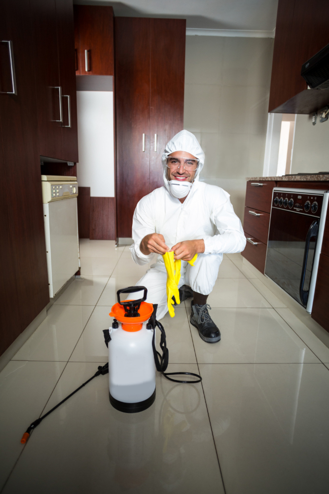 service de lutte antiparasitaire pour la protection du domicile